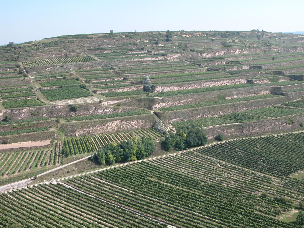 Weingut Und Gaestehaus Berger Gedersdorf Bagian luar foto
