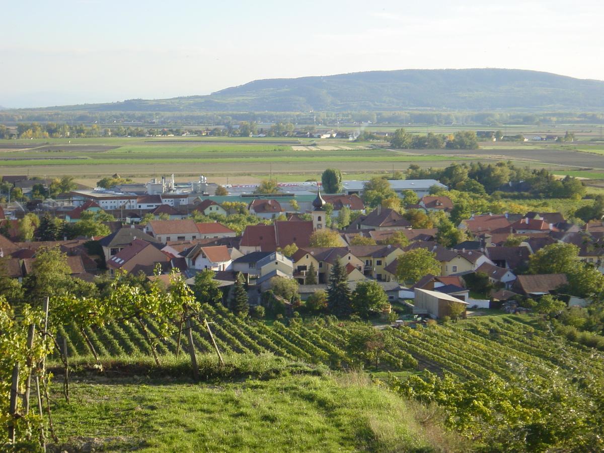 Weingut Und Gaestehaus Berger Gedersdorf Bagian luar foto